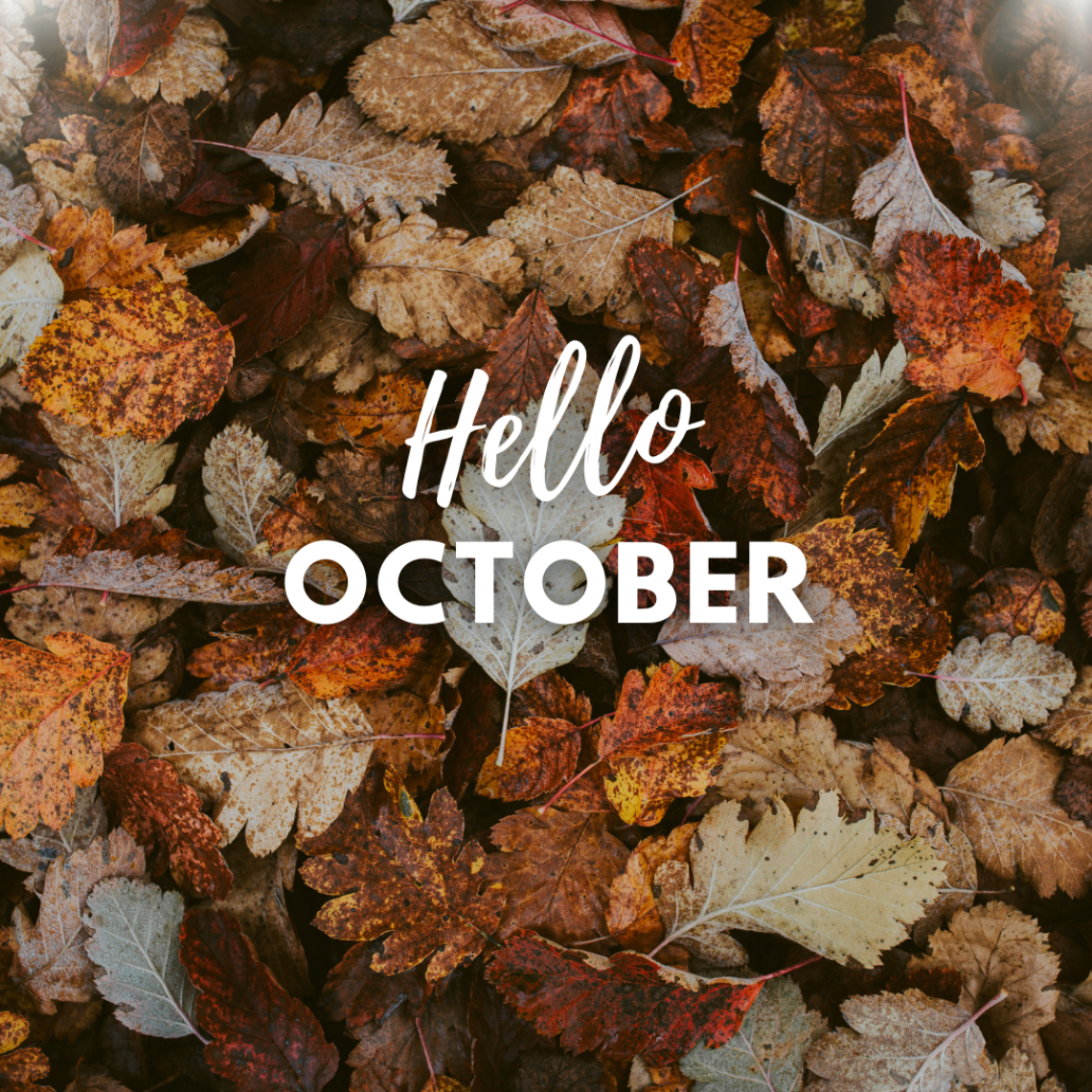 Brown Fall Simple Hello October Instagram Post